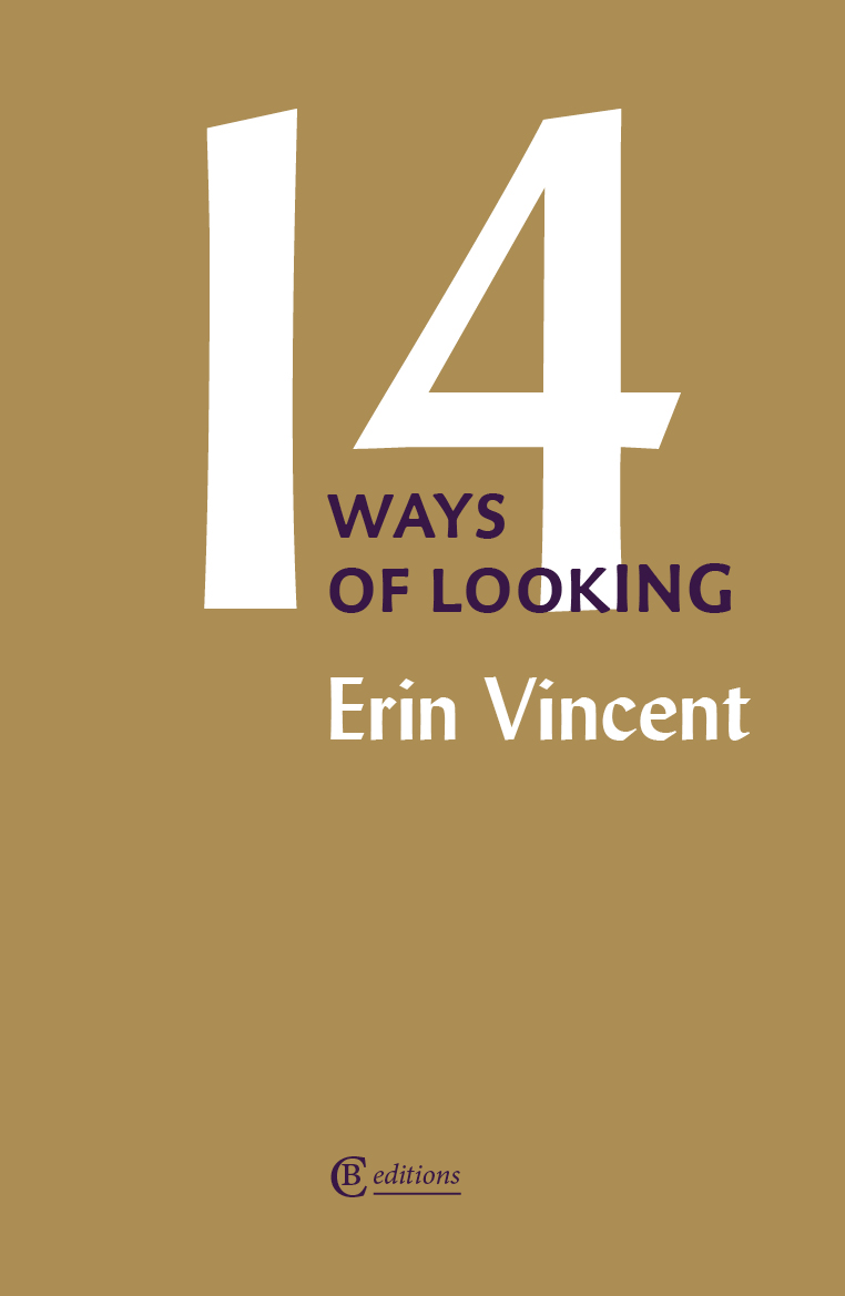 Fourteen Ways of Looking UK edition cover