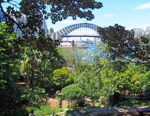 secret_garden_4